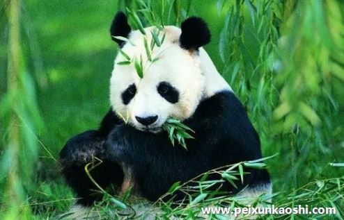 国务院关于同意设立大熊猫国家公园的批复